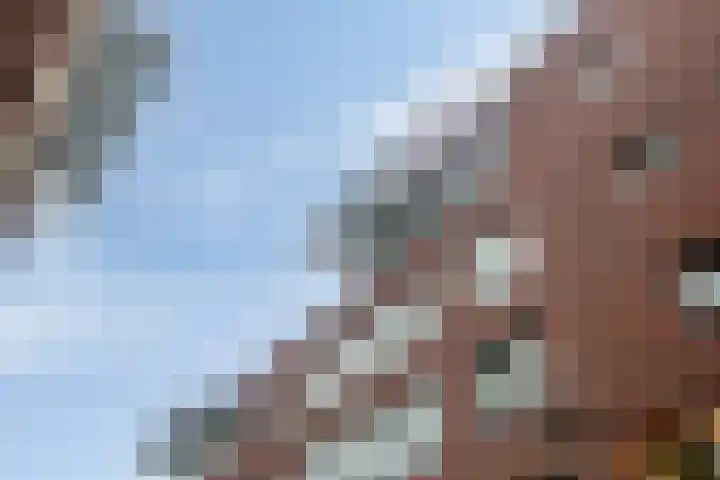 de Wieken 55 Helmond thumbnail 36