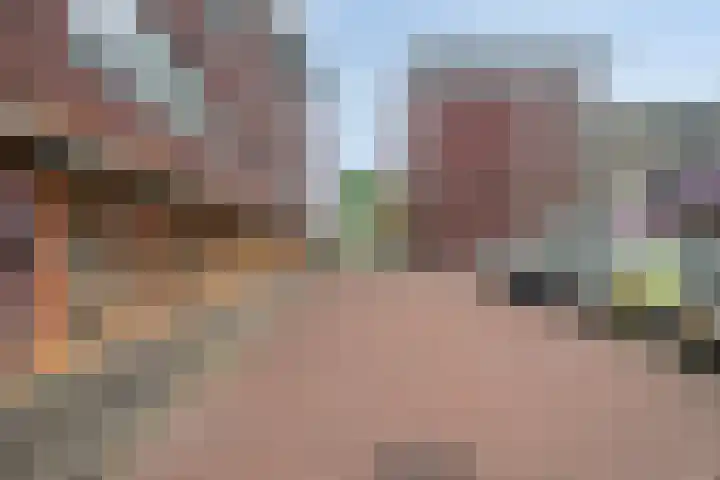 de Wieken 55 Helmond thumbnail 37