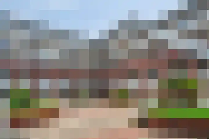 de Wieken 55 Helmond thumbnail 38