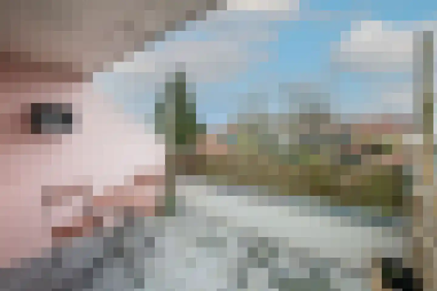 De Wieken 57 Hoorn thumbnail 32