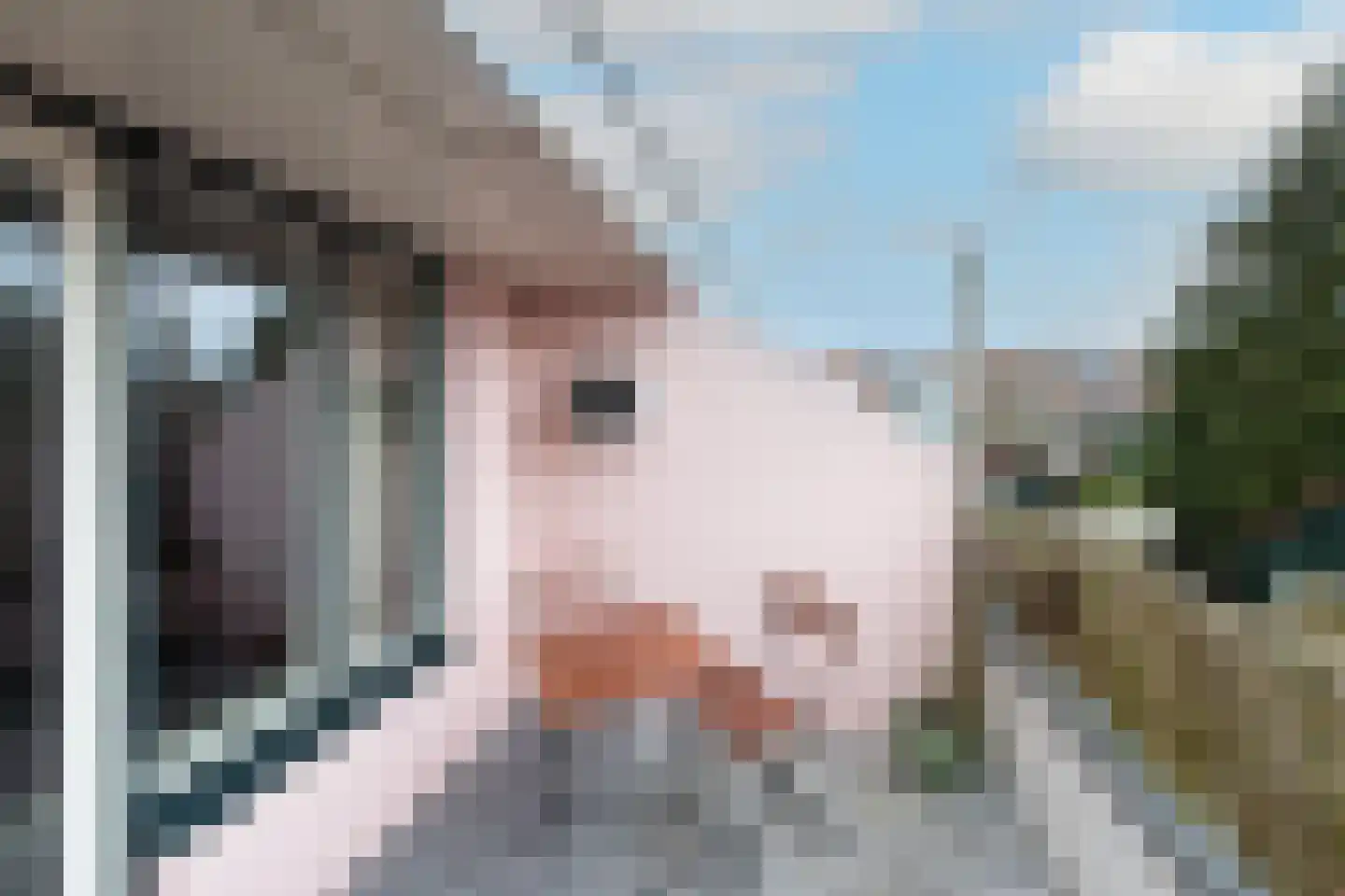 De Wieken 57 Hoorn thumbnail 34