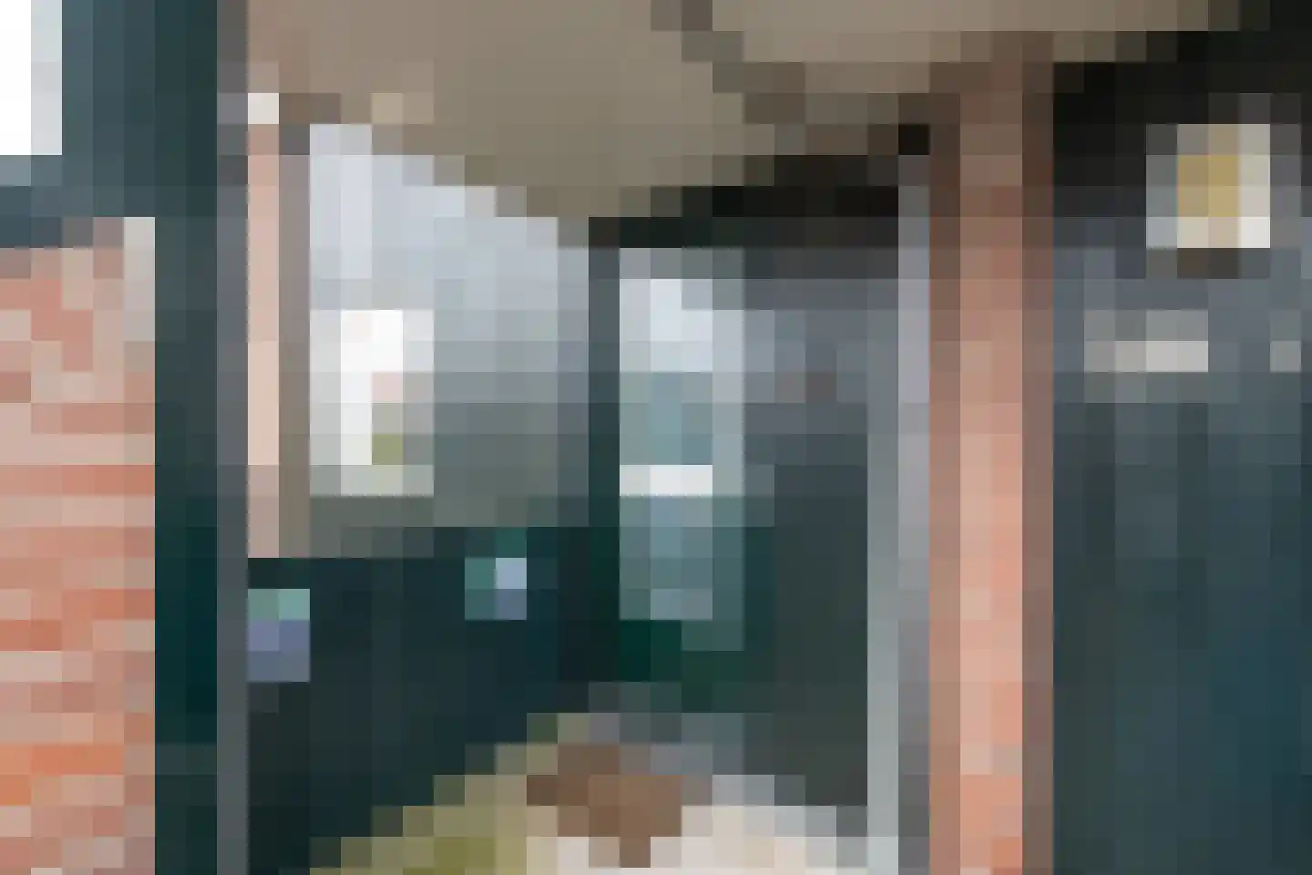 De Wieken 57 Hoorn thumbnail 8