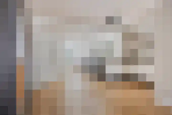De Wieken 59 Uden thumbnail 11
