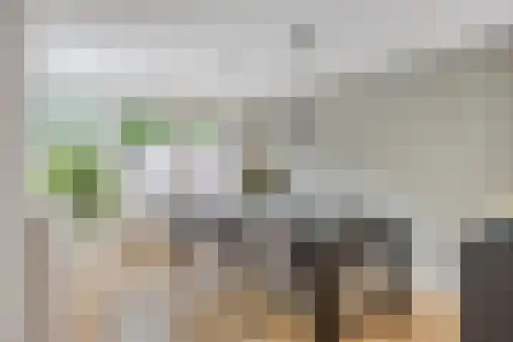 De Wieken 59 Uden thumbnail 12
