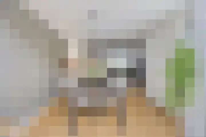 De Wieken 59 Uden thumbnail 13