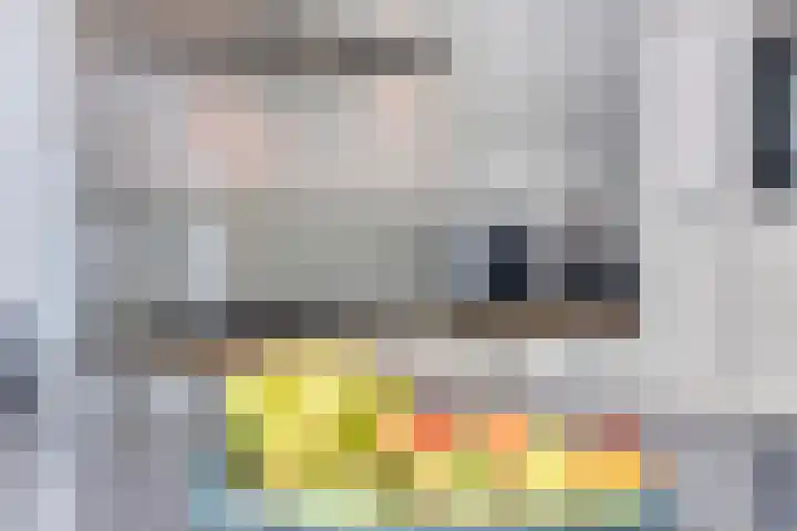 De Wieken 59 Uden thumbnail 15
