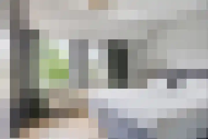 De Wieken 59 Uden thumbnail 21