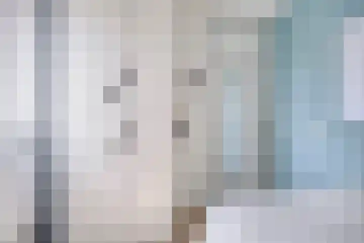 De Wieken 59 Uden thumbnail 27