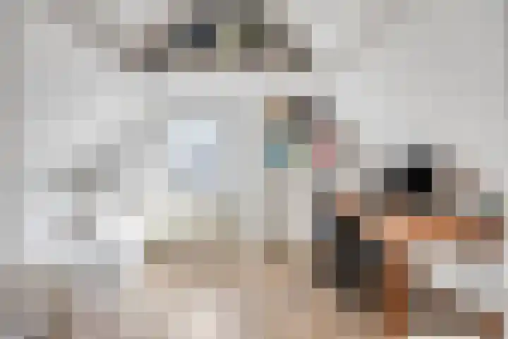 De Wieken 59 Uden thumbnail 31