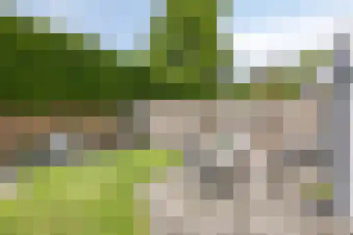 De Wieken 59 Uden thumbnail 33