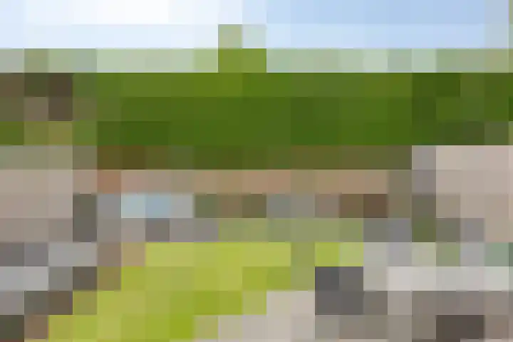 De Wieken 59 Uden thumbnail 34