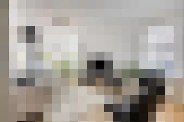 De Wieken 59 Uden thumbnail 9