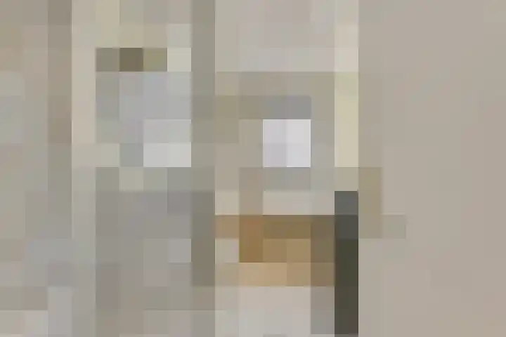 De Wieken 60 Hoorn thumbnail 22