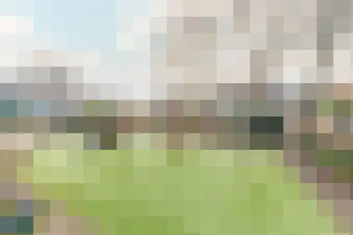 De Wieken 60 Hoorn thumbnail 39