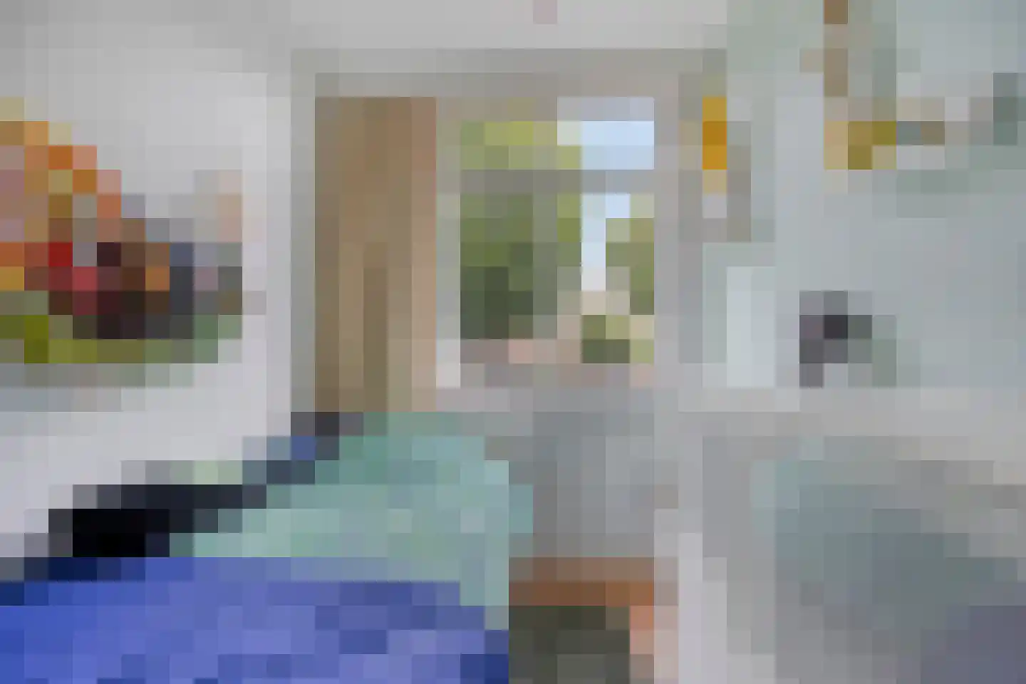 De Wieken 62 Beek en Donk thumbnail 20