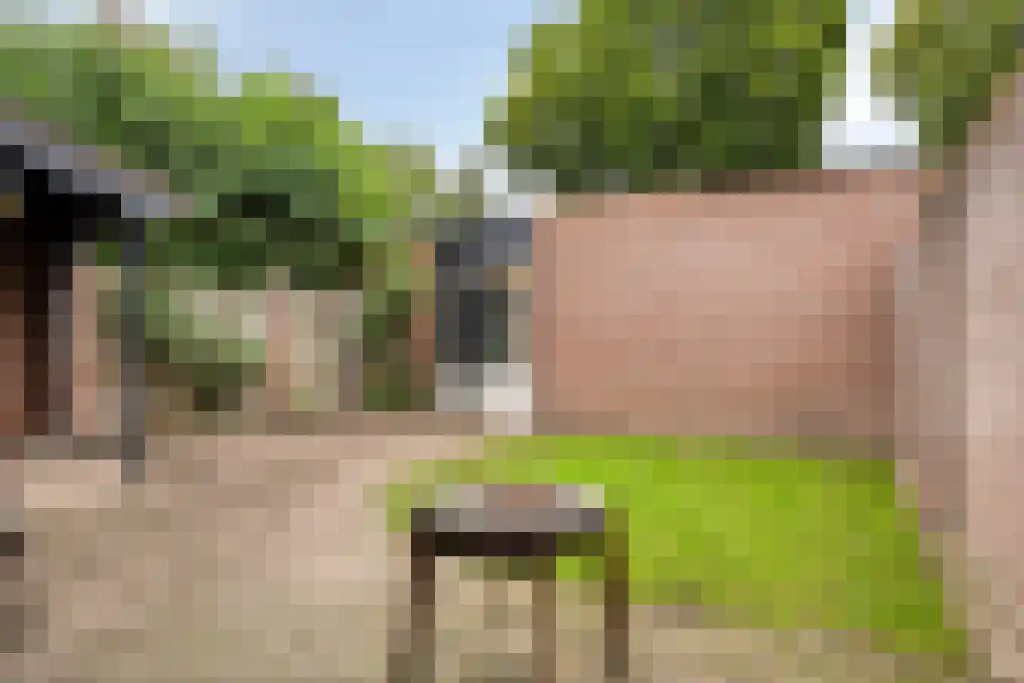 De Wieken 62 Beek en Donk thumbnail 26