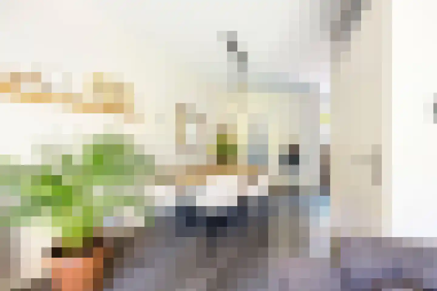 De Wieken 69 Hoorn thumbnail 11