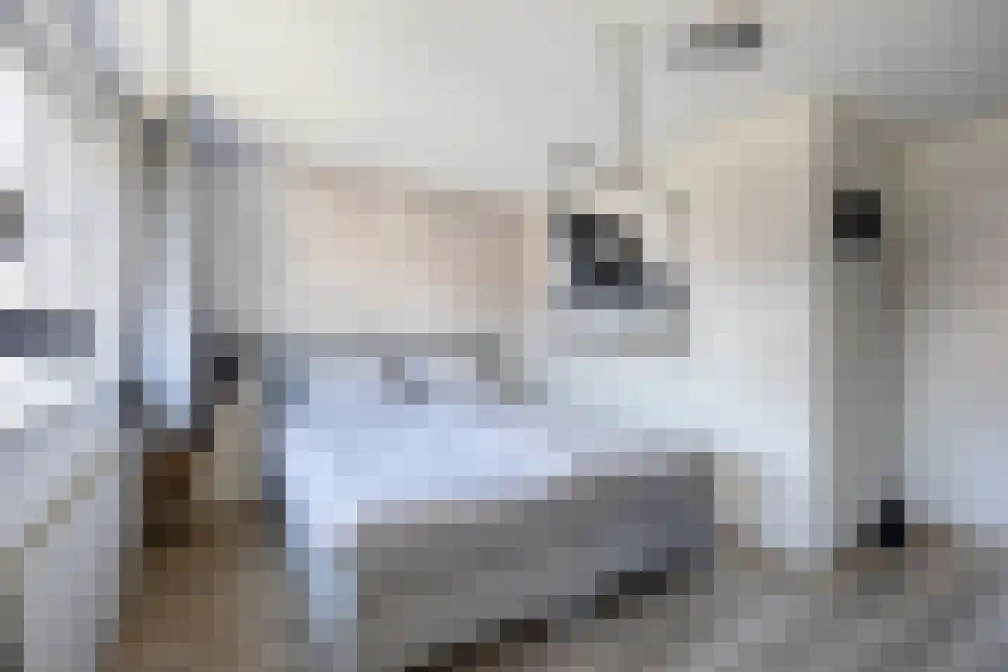 De Wieken 69 Hoorn thumbnail 14
