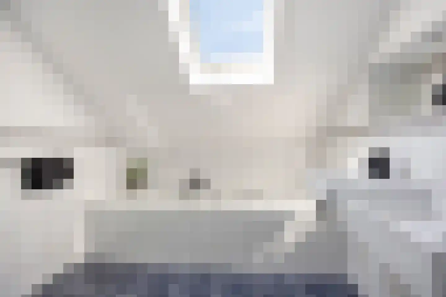 De Wieken 69 Hoorn thumbnail 16