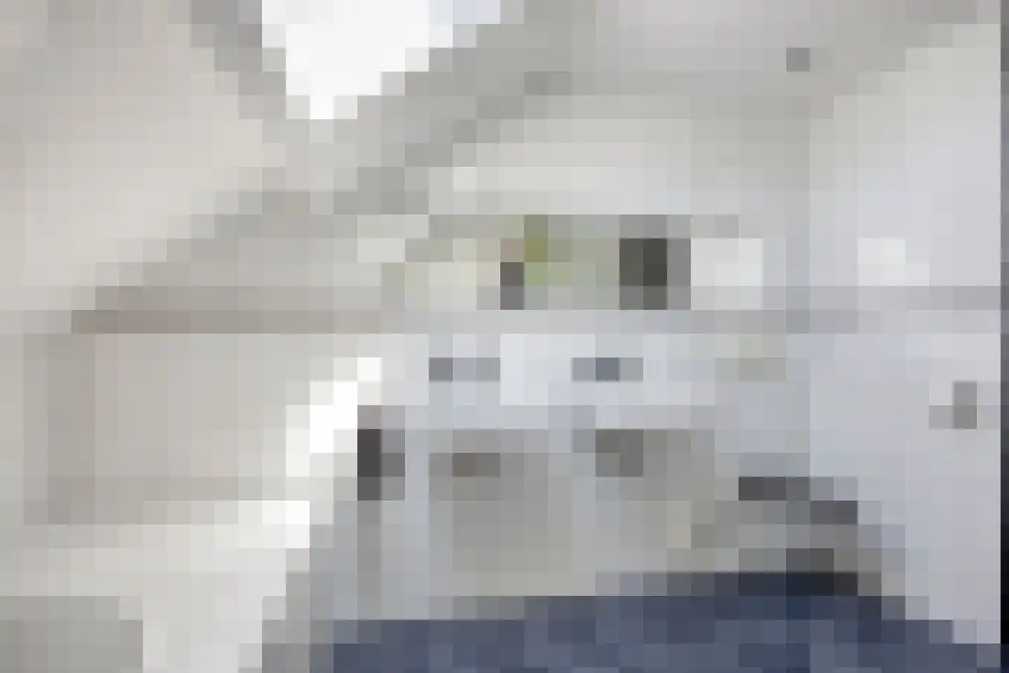 De Wieken 69 Hoorn thumbnail 17