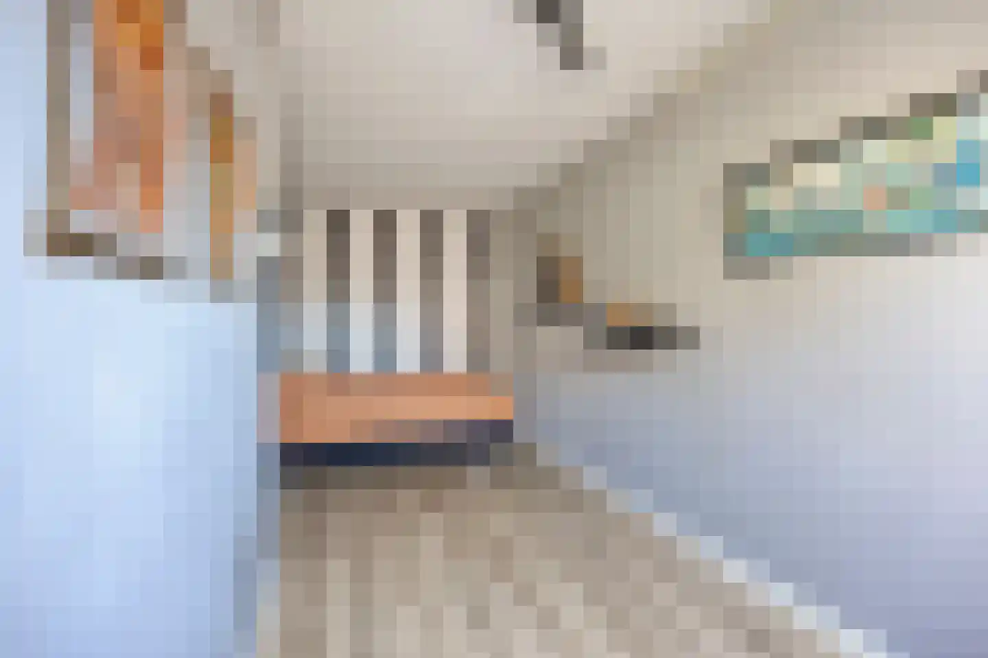 De Wieken 69 Hoorn thumbnail 21