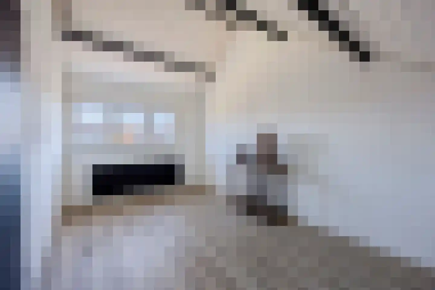 De Wieken 69 Hoorn thumbnail 24