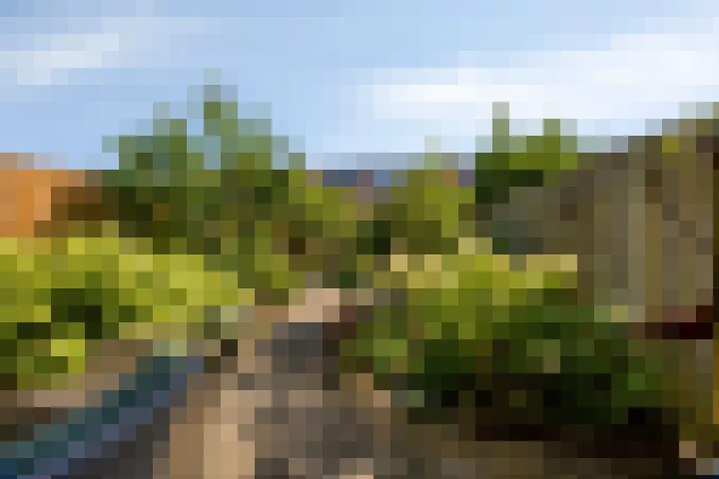 De Wieken 69 Hoorn thumbnail 26