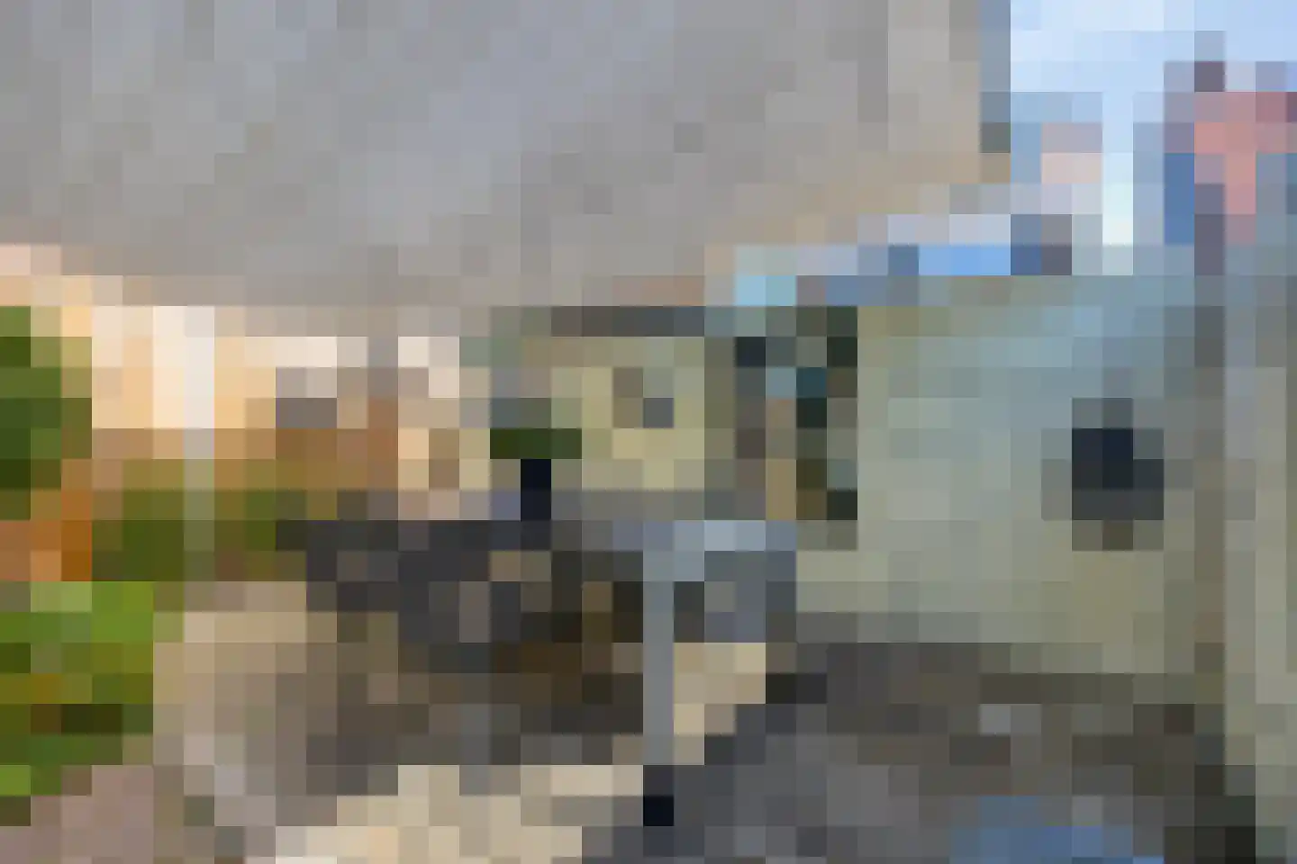 De Wieken 69 Hoorn thumbnail 29