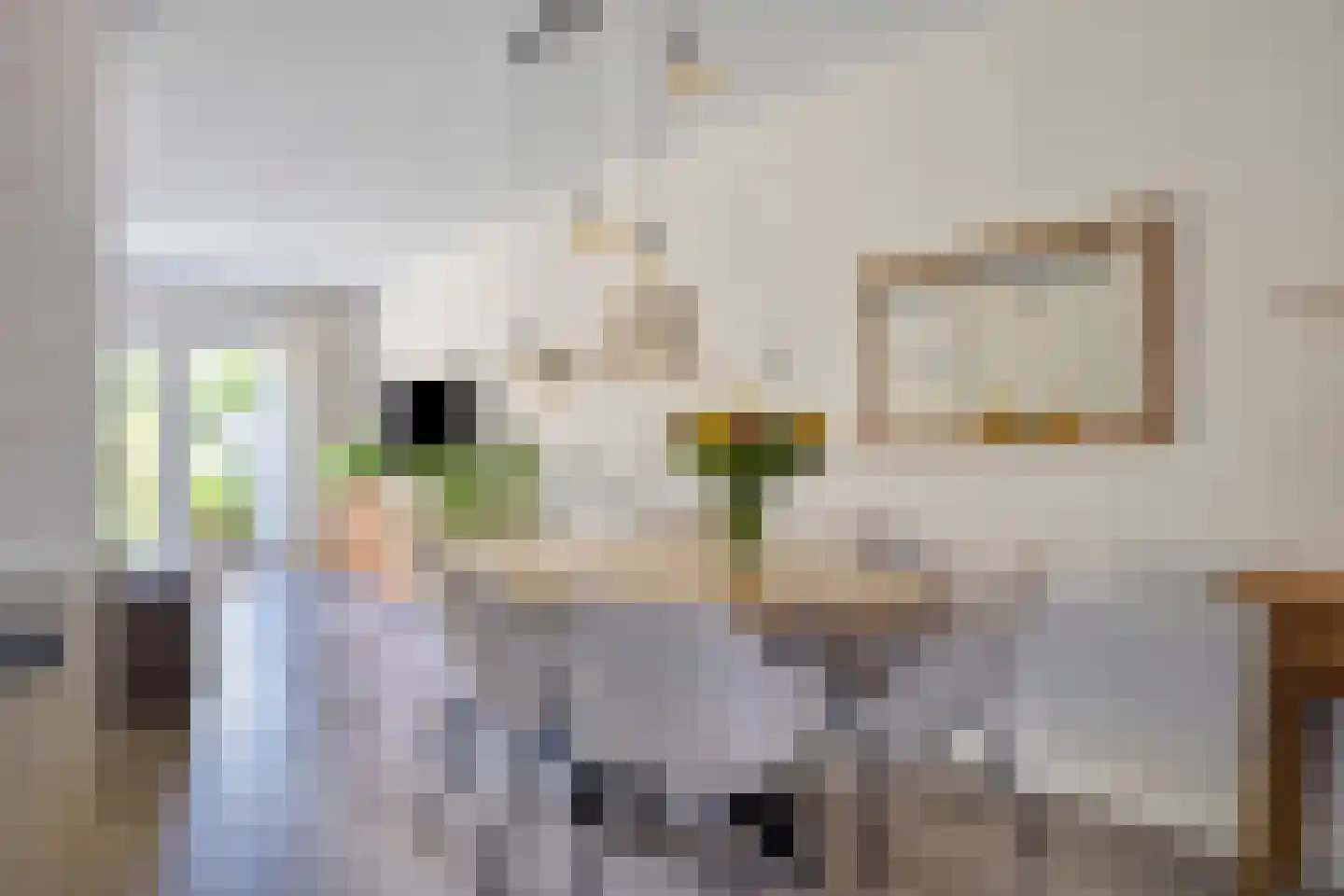 De Wieken 69 Hoorn foto 3