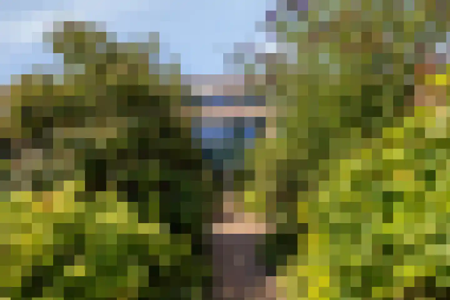 De Wieken 69 Hoorn thumbnail 30