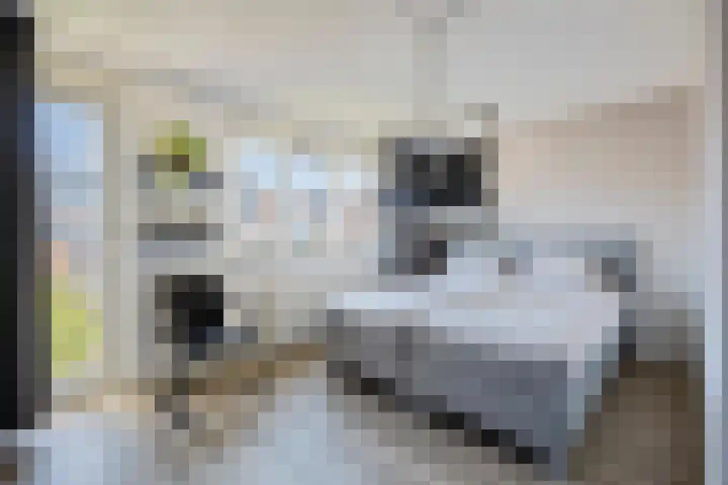De Wieken 69 Hoorn thumbnail 5