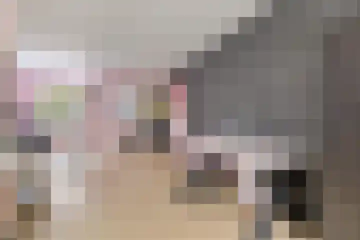 De Wieken 72 Hoorn thumbnail 10