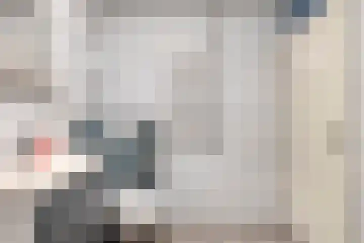 De Wieken 72 Hoorn thumbnail 18