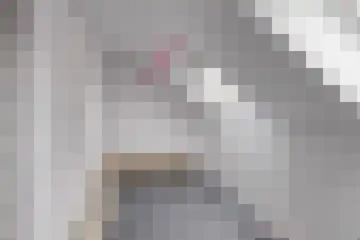 De Wieken 72 Hoorn thumbnail 23