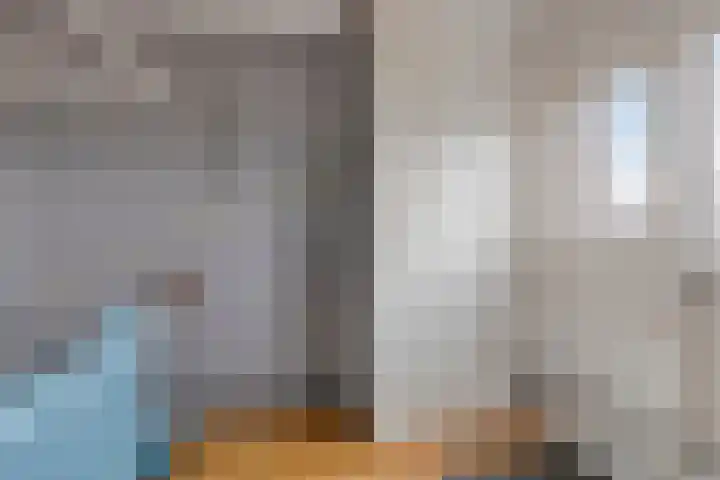 De Wieken 72 Hoorn thumbnail 24