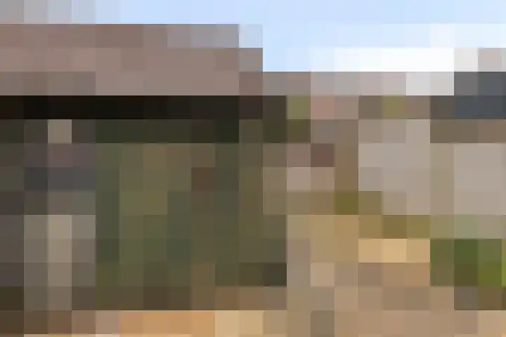 De Wieken 72 Hoorn thumbnail 28