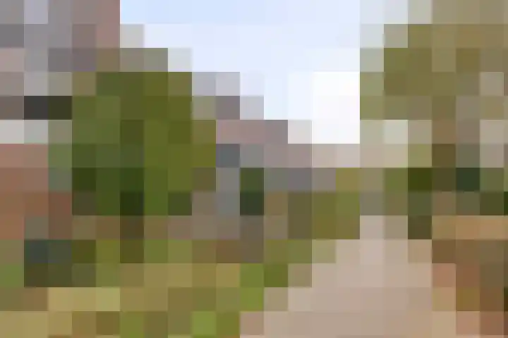 De Wieken 72 Hoorn thumbnail 31