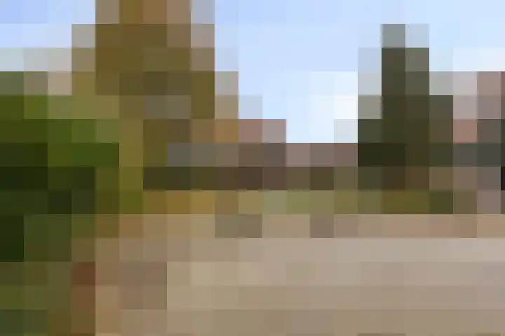 De Wieken 72 Hoorn thumbnail 32