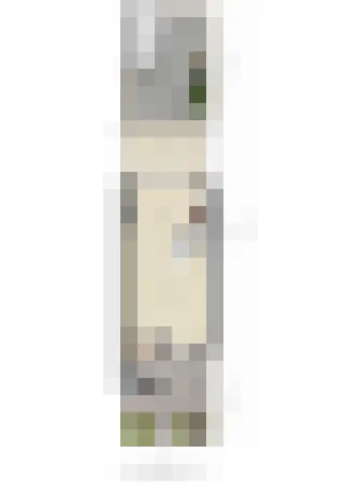 De Wieken 72 Hoorn thumbnail 33