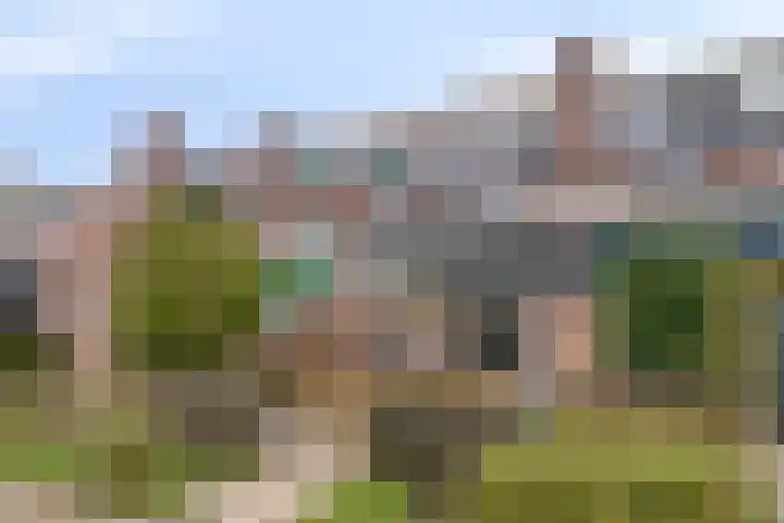 De Wieken 72 Hoorn thumbnail 5
