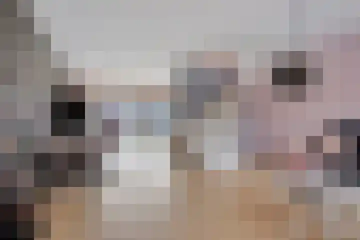 De Wieken 72 Hoorn thumbnail 7