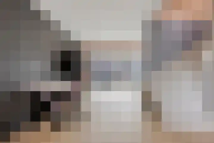 De Wieken 72 Hoorn thumbnail 9