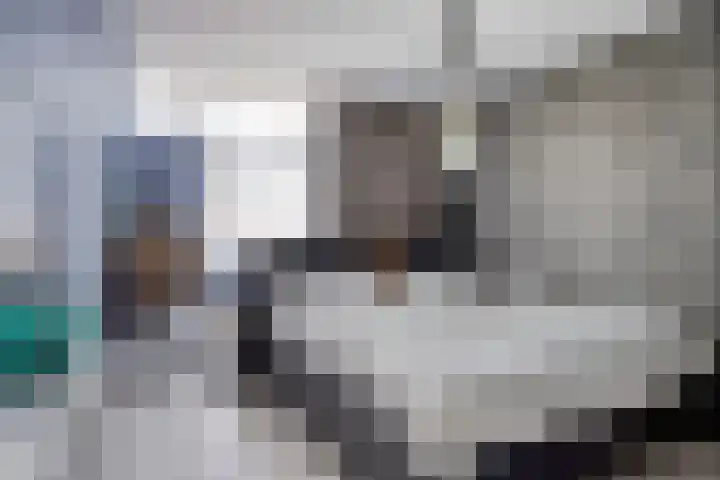 De Wieken 74 Beek en Donk thumbnail 13