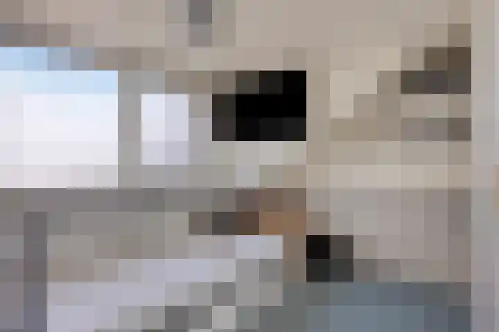 De Wieken 74 Beek en Donk thumbnail 21
