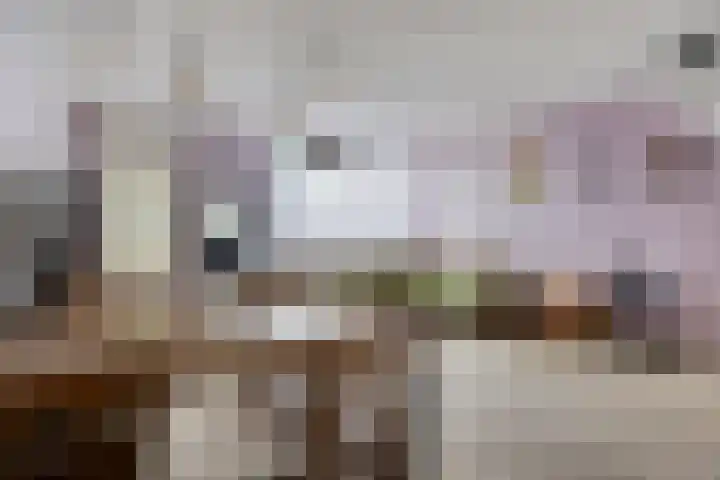 De Wieken 74 Beek en Donk thumbnail 7