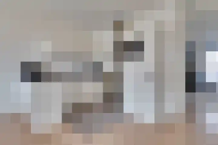 de Wieken 8 Helmond thumbnail 10