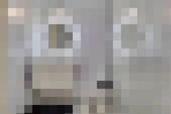de Wieken 8 Helmond thumbnail 20