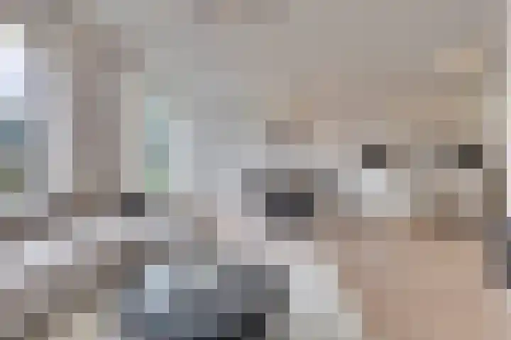 de Wieken 8 Helmond thumbnail 6
