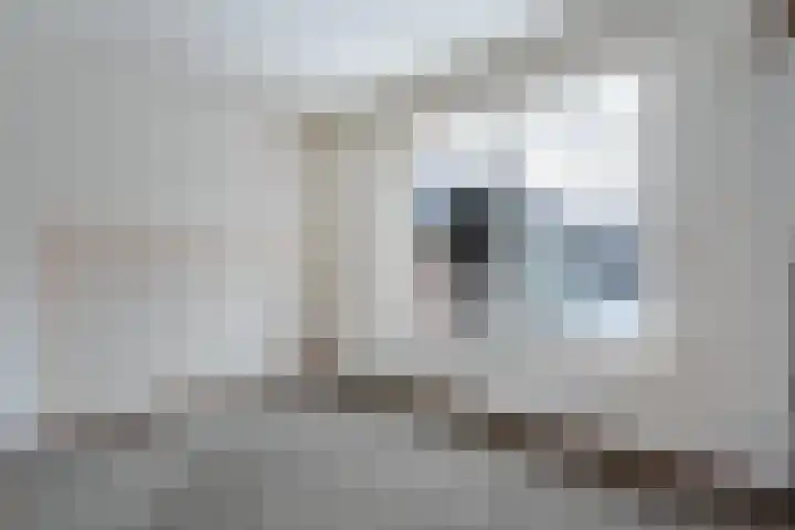 de Wieken 8 Raalte thumbnail 12