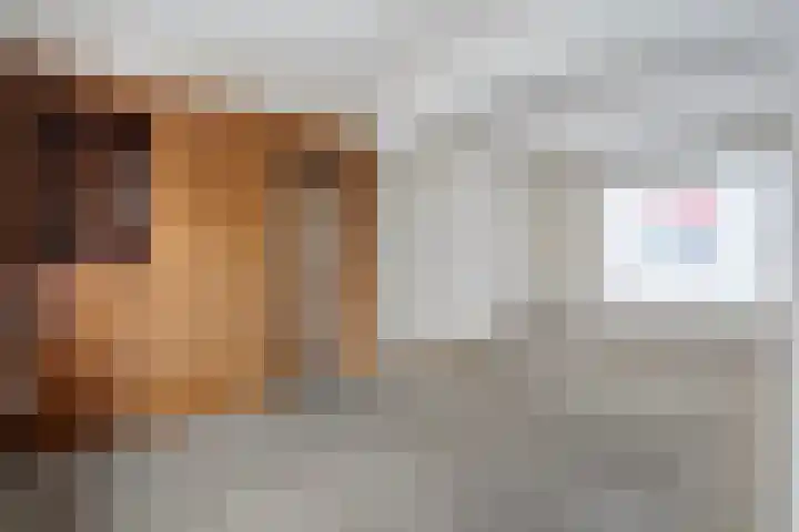 de Wieken 8 Raalte thumbnail 13